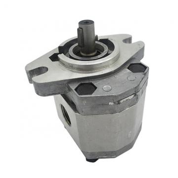 A11V130 Series Hydraulic Pump Parts of Valve Plate