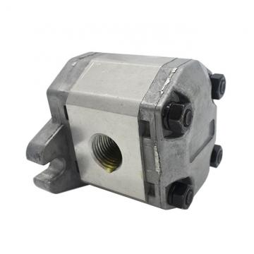 Nx15 Series Hydraulic Pump Parts of Cylinder Block