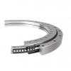 A22-105E2A Rotek Slewing Ring Bearings #1 small image