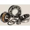 EE161400/161901D Cylindrical Roller Bearings