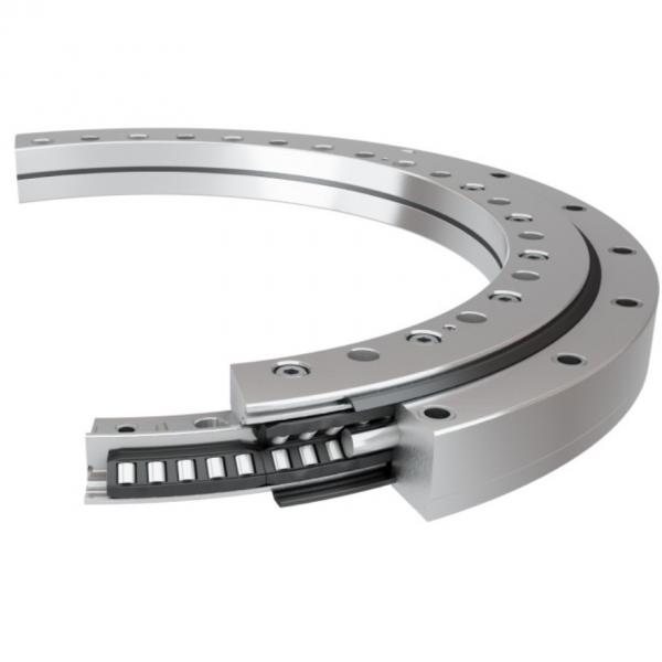280.30.0900.013 Type 110/1100. Standard 5 Slewing Ring Bearings #2 image