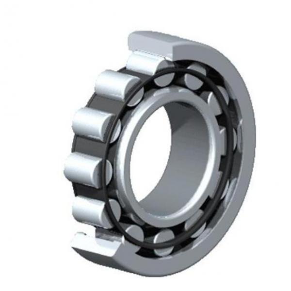 NN302 NSK CYLINDRICAL ROLLER BEARING #1 image