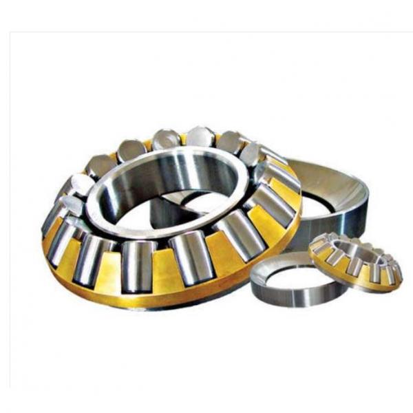 528876 DOUBLE ROW TAPERED THRUST ROLLER BEARINGS #1 image