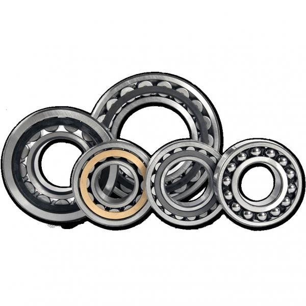 1097988 (351988 Needle Non Thrust Roller Bearings #1 image