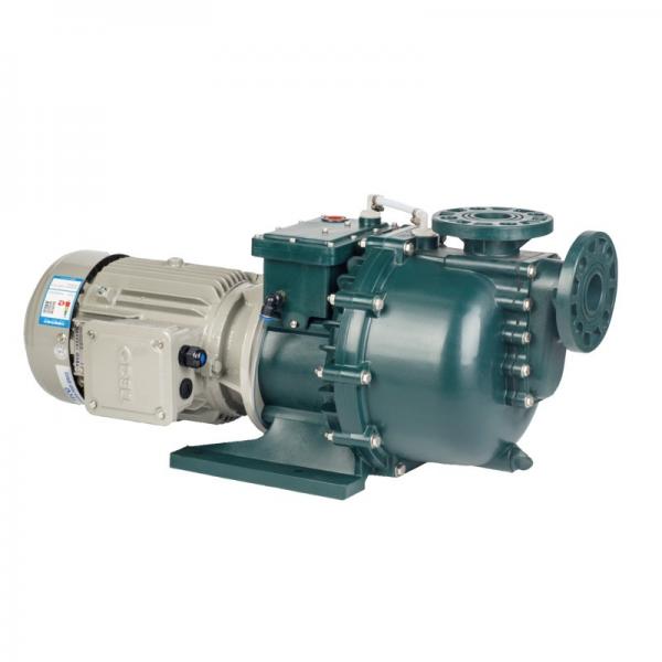 NORTHMAN SERIES Smvp Direct Type Motor With Fixed Displacement Vane Pump Or Variable Displacement Vane Pump #1 image