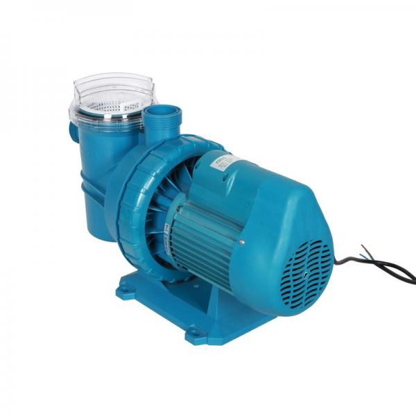 HSU HONG SERIES Remote pressure control B type  Single pump #4 image