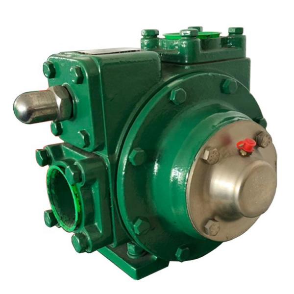 31Q7-10020 K3V112DTP-1H9R-9PA2-1 R210LC-9 Hydraulic Pump #5 image