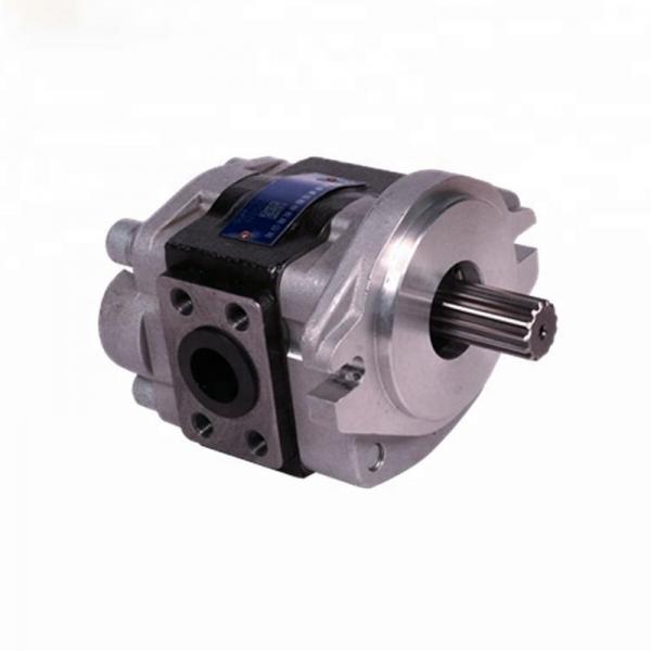 China Supply Hydraulic Piston Pump A11V Series A11vlo130+A11vlo130+A11vo60 #2 image