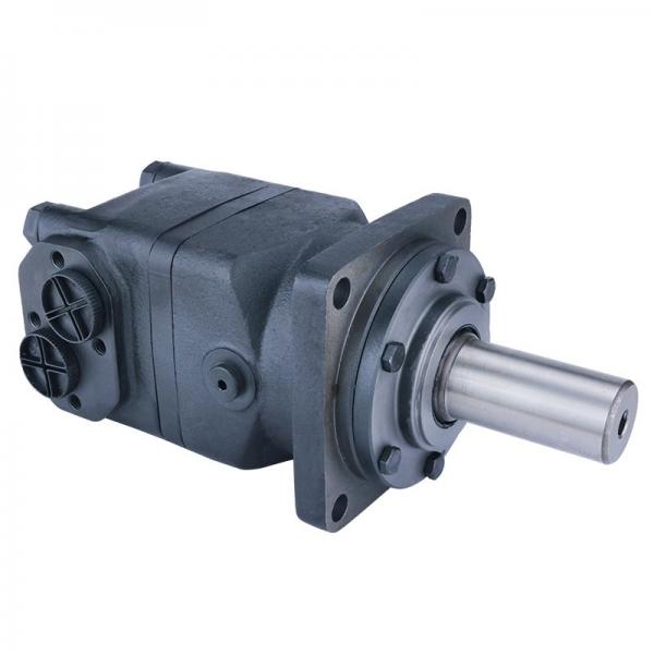 90 Series of 90m030, 90m042, 90m055, 90m075, 90m100, 90m130 Hydraulic Piston Motor for Agitator Truck #2 image