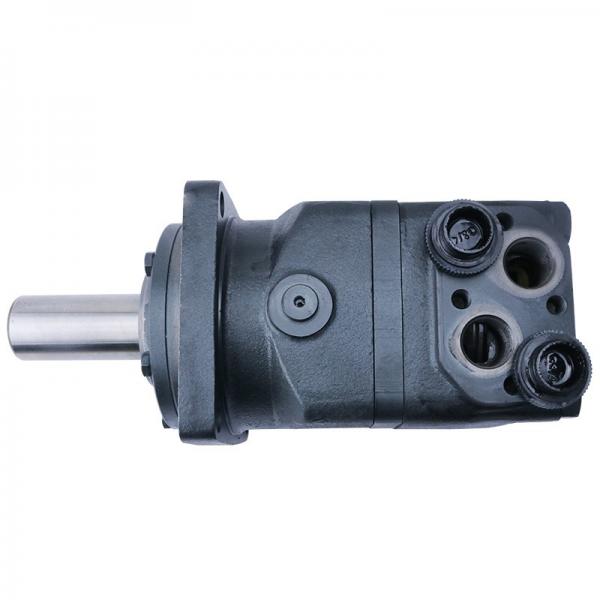 A2FM 250/60W-Vzb010 Motor Low Speed High Torque Hydraulic Motor #4 image