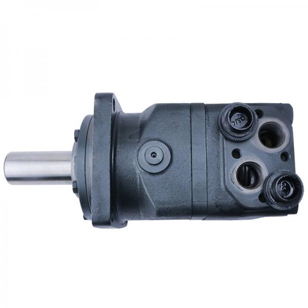 Construction Machinery Hydraulic Tool Spare Parts Like Cylinder Block Valve Plate Swash Plate for Hydralic Pump #3 image