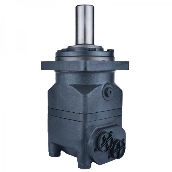 A2FM 250/60W-Vzb010 Motor Low Speed High Torque Hydraulic Motor #1 image