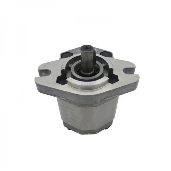 A10vs0100 Series Swing Motor Parts Excavator Parts for Valve Plate (R) #5 image